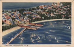 Manly From The Air Postcard