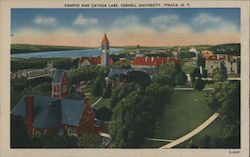 Campus and Cayuga Lake, Cornell University Postcard