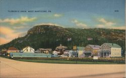 Tilsbury's Knob West Nanticoke, PA Postcard Postcard Postcard