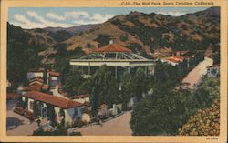 The Bird Park Santa Catalina Island, CA Postcard Postcard Postcard
