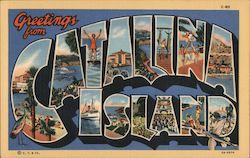 Greetings from Catalina Island Postcard