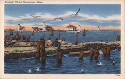 Straight Wharf Postcard