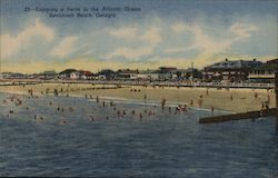 Enjoying a Swim in the Atlantic Ocean Postcard