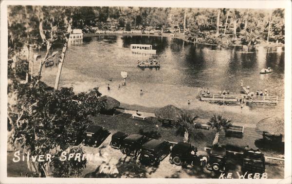 Aerial View of an Inlet Silver Springs Florida K.E. Webb