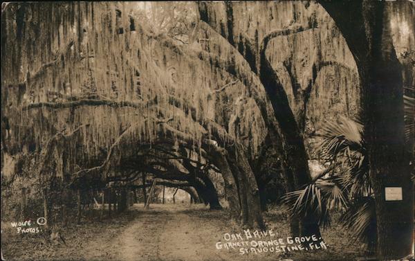 Oak Drive, Garnett Orange Grove St. Augustine Florida