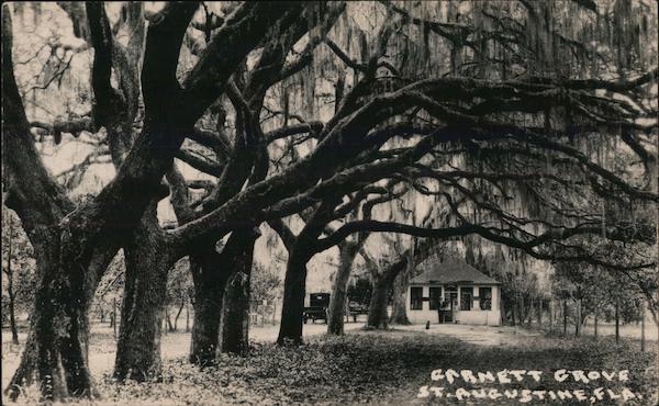 Garnett Grove St. Augustine Florida