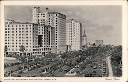 Biscayne Boulevard and Hotels Postcard