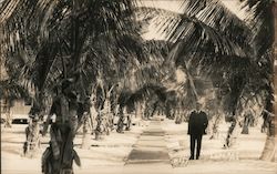 Stock #915209 Thumbnail