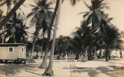 Long Key, FL Postcard