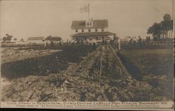 Garden in front of DeSoto Hotel, Citrus Center Postcard