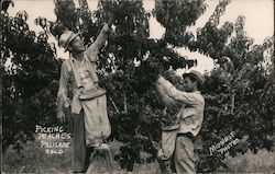 Stock #915222 Thumbnail