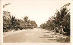 Street Scene Postcard