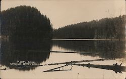 North Lake, Entrance black Creek Postcard