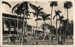 Grandstand and Club House, Miami Jockey Club Postcard