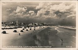 Looking North from the Pier Postcard
