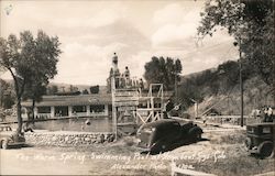 The WSarm Spring Swimming Pool Postcard