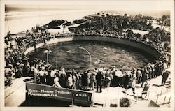 Fishing Time, Marine Studios Postcard