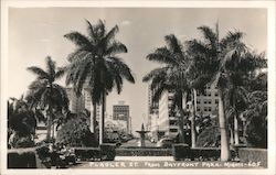 Flagler Street from Bayfront Park Postcard