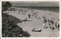 Taking the Sun at Miami Beach, Florida Postcard