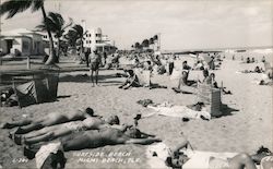 Surfside Beach - Sunbathers Miami Beach, FL Postcard Postcard Postcard