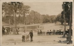 Silver Springs, FL - Glass-Bottom Boat Landing at Largo Spring Postcard