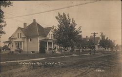 Webster St., Catlin, IL Postcard