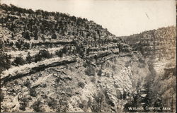 Walnut Canyon Postcard