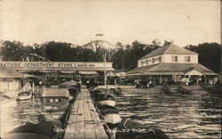 General View of Arnolds Park Postcard