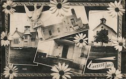 Greetings from Chester Postcard