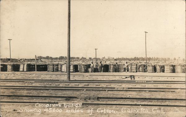 Compress Yards Showing 45,00 Bales of Cotton Calexico California