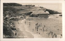 Bathing at the Cove Postcard