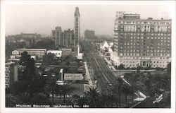Wilshire Boulevard Postcard