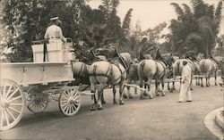 Los Angeles County wagon hitched to team of horses for parade Postcard