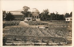 Sunken Gardens & Museum, Exposition Park Postcard