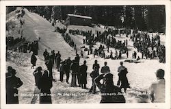 On Snowman's Hill near Mt. Shasta Postcard