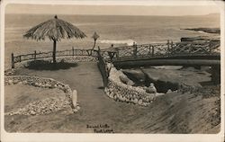 Sunset Cliffs, Point Loma San Diego, CA Postcard Postcard Postcard