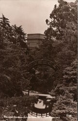 Chinese Garden, Golden Gate Park Postcard