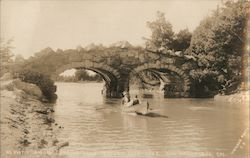 Rustic Bridge in Golden Gate Park Postcard