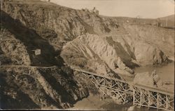 Golden Gate Park Avea Postcard