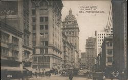 Looking North on Third St. Postcard