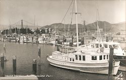 Yacht Harbor Postcard