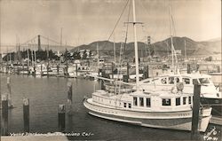 View of Yacht Harbor Postcard