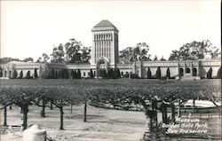 Museum, Golden Gate Park Postcard
