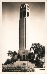 Telegraph Hill Postcard