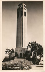 Coit Tower, Telegraph Hill Postcard