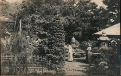 Japanese Tea Garden Golden Gate Park Postcard