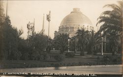 Horticultural Building World's Fair 1915 Postcard