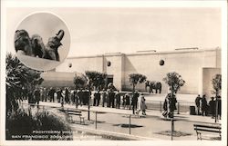 Pachyderm House, Zoological Gardens Postcard