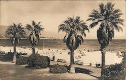 West Beach Postcard