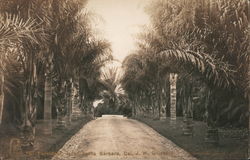 El Fureidis Estate near Santa Barbara Postcard